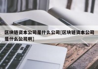 区块链资本公司是什么公司[区块链资本公司是什么公司啊]